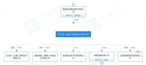 高管更迭背后的戰(zhàn)略調(diào)整 螞蟻集團(tuán)原CEO退出多家公司法人引發(fā)的思考